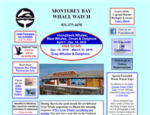Tablet Screenshot of montereybaywhalewatch.com